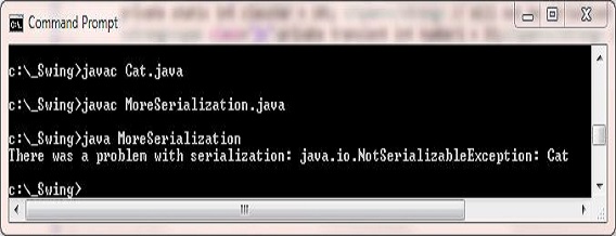 run MoreSerialization class run MoreSerialization class