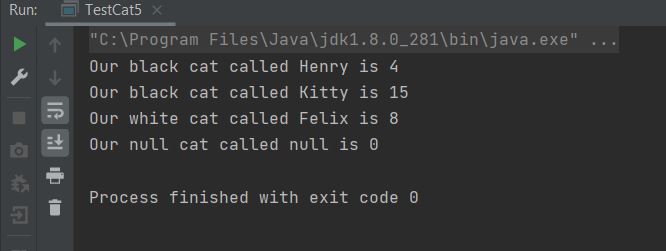 run cat class with two constructor run cat class with two constructor
