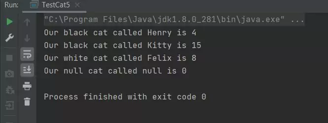 run cat class with two constructor run cat class with two constructor