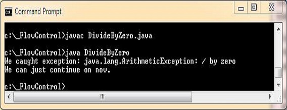 run divide by zero2 run divide by zero2