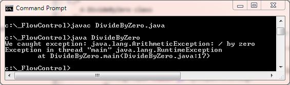 run divide by zero and rethrow run divide by zero and rethrow