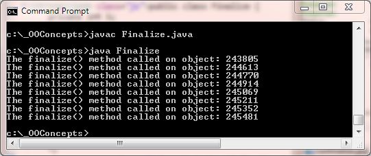 run finalize run finalize()